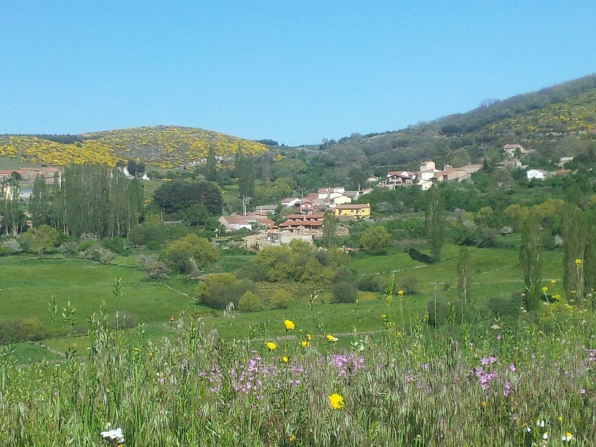 Pensjonat El Rondillo De Gredos Hoyos del Collado Zewnętrze zdjęcie